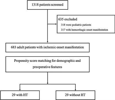Hemorrhagic Transformation in Ischemic Moyamoya Disease: Clinical Characteristics, Radiological Features, and Outcomes